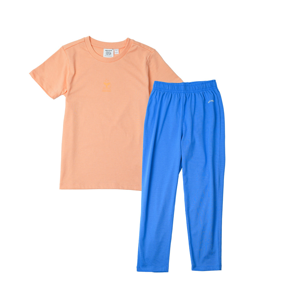 Home Wear: Short Sleeve Tee and Pants Set